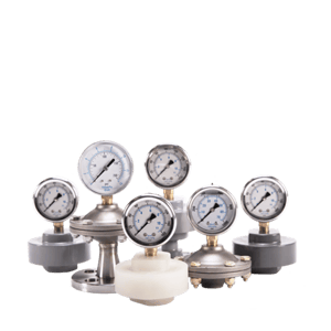 Blacoh Industries SENTINEL™ Diaphragm Seals