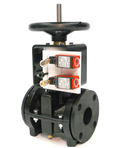 Onyx Valve Series CHR