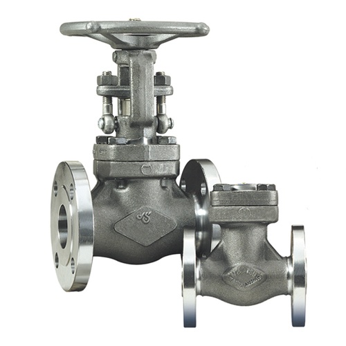 DSI Steel Globe Valve