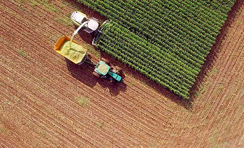 corn_harvesting_for_ethanol