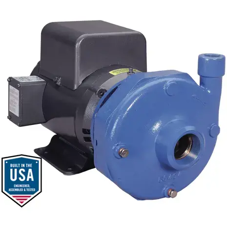Goulds Water Technology 3656/3756 S-Group Cast Iron & Bronze Pumps