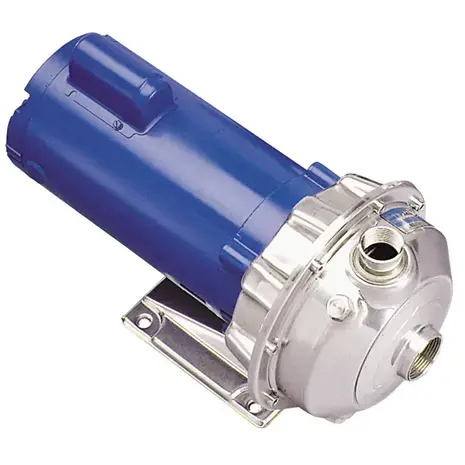Goulds Water Technology NPE/NPE-F 316L SS Stainless Steel Pumps
