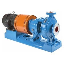 goulds-3196-iframe-process-pump